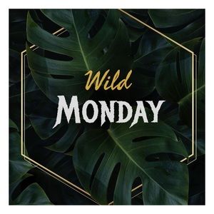 MONDAY 3/16 👉🏼